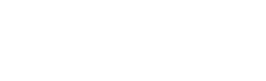 kiwiitees white logo